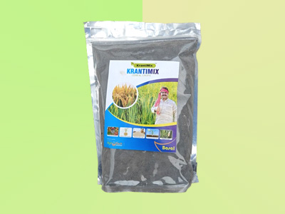 Cereal Crops (Paddy) Basal